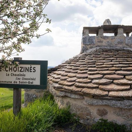 Gite Le Choizines 8/10 Personnes Serverette Exterior foto
