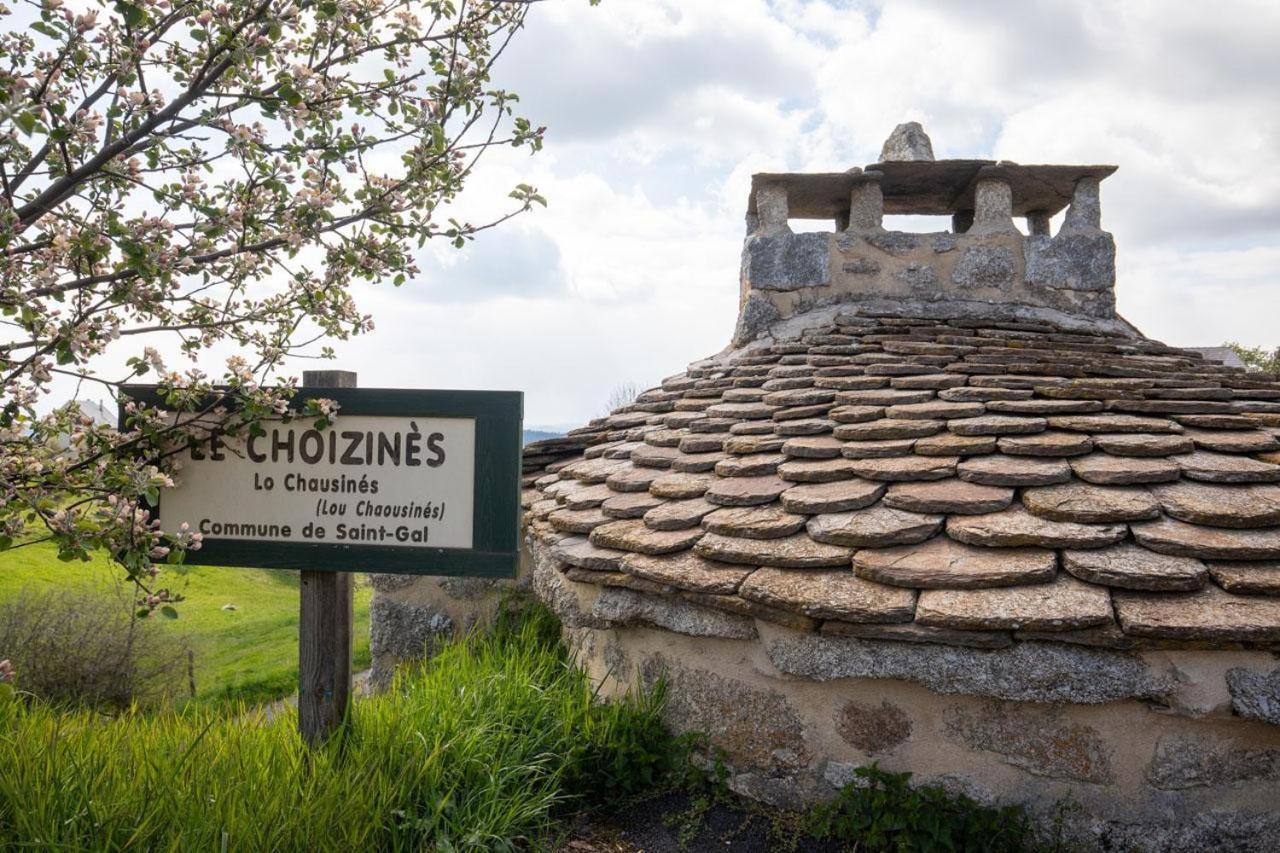 Gite Le Choizines 8/10 Personnes Serverette Exterior foto